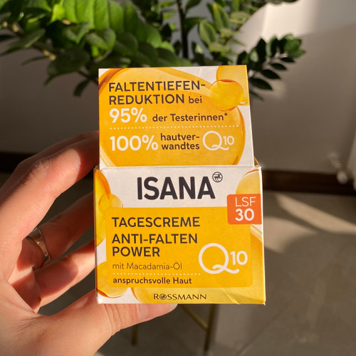 کرم روز کیوتن دار